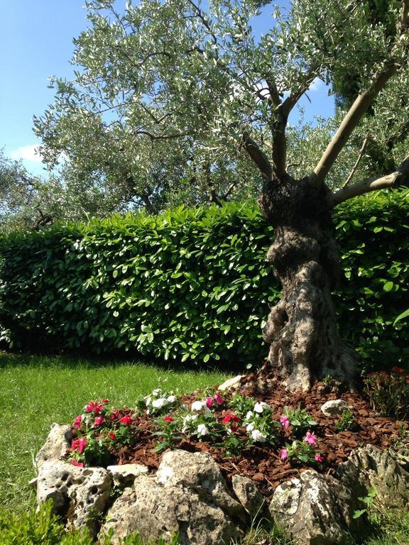 Da Debbie San Giovanni In Marignano Phòng bức ảnh